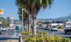 Kuşadası’nda park ve yeşil alanların bakımı sürüyor