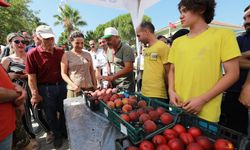 Şen Şeftali Şenliği 16 Temmuz’da Efes Selçuk’ta