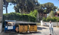 Larva ve sinek mücadelesi yoğun şekilde devam ediyor