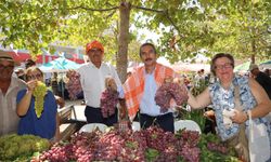 Urla’da bağbozumu zamanı