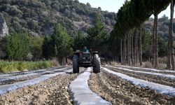 Adabahçe’de kış hazırlıkları başladı