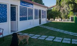 Hayvansever Başkan Ömer Günel patili dostlarını unutmuyor