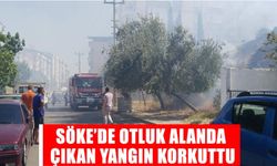 Söke’de otluk alanda çıkan yangın korkuttu