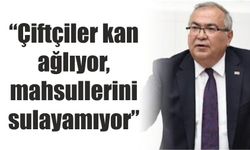 “Çiftçiler kan ağlıyor, mahsullerini sulayamıyor”