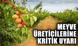 Meyve üreticilerine kritik uyarı