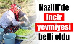 Nazilli’de incir yevmiyesi belli oldu