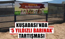 Kuşadası’nda ‘5 yıldızlı barınak’ tartışması