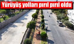 Yürüyüş yolları pırıl pırıl oldu