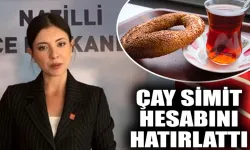 CHP’li Ökmen’den Cumhurbaşkanı'na gönderme