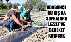 Adabahçe bu kış da sofralara lezzet ve bereket katacak