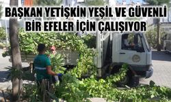 Başkan Yetişkin yeşil ve güvenli  bir Efeler için çalışıyor