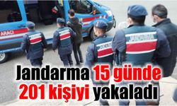 Jandarma 15 günde 201 kişiyi yakaladı