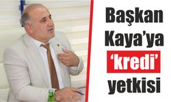 Başkan Kaya’ya ‘kredi’ yetkisi