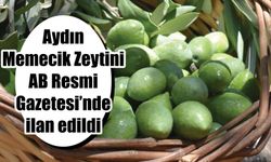 Aydın Memecik Zeytini AB Resmi Gazetesi’nde ilan edildi