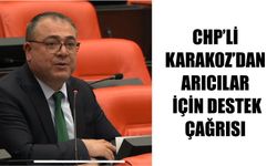 CHP’li Karakoz’dan arıcılar için destek çağrısı