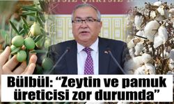 Bülbül: “Zeytin ve pamuk  üreticisi zor durumda”