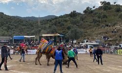 Koçarlı’da festival coşkusu