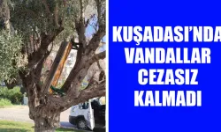 Kuşadası’nda vandallar cezasız kalmadı