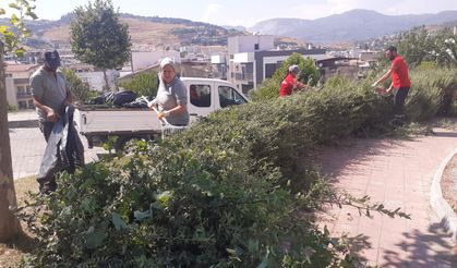Söke Belediyesi’nden park ve bahçelerde yoğun çalışma