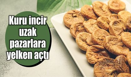 Kuru incir uzak pazarlara yelken açtı
