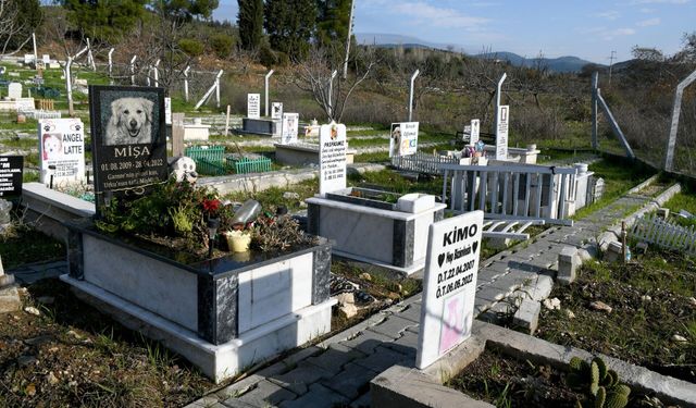 Başkan Ömer Günel hayvan severlere verdiği sözü tuttu