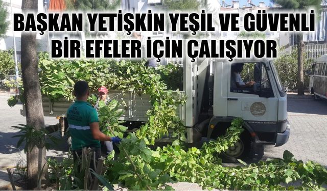 Başkan Yetişkin yeşil ve güvenli  bir Efeler için çalışıyor