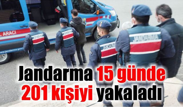 Jandarma 15 günde 201 kişiyi yakaladı