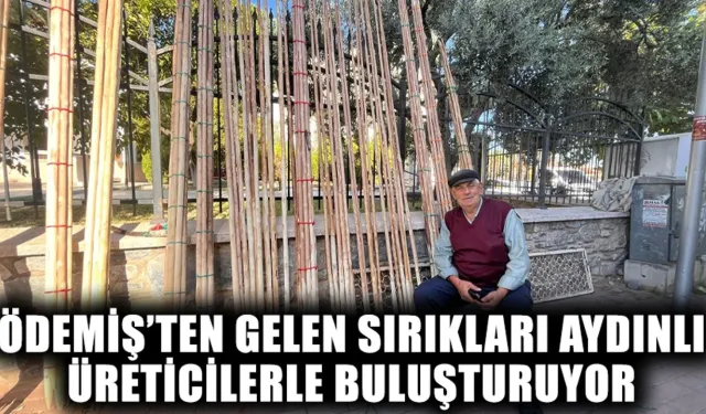 Ödemiş’ten gelen sırıkları Aydınlı üreticilerle buluşturuyor