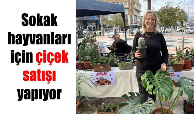 Sokak hayvanları için çiçek satışı yapıyor