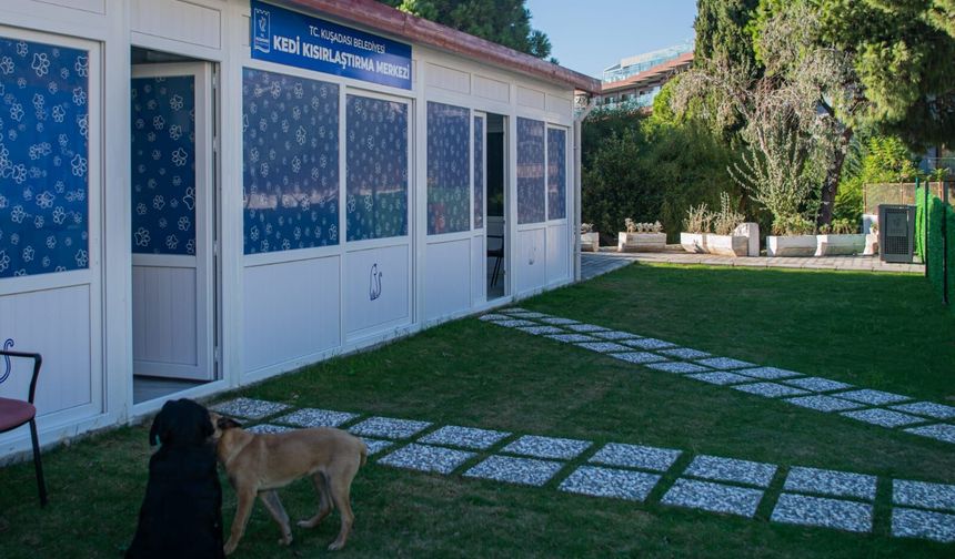 Hayvansever Başkan Ömer Günel patili dostlarını unutmuyor