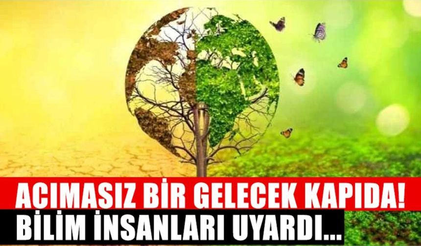 Acımasız bir gelecek kapıda! Bilim insanları uyardı...