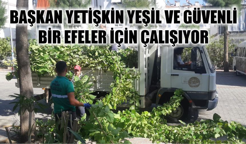 Başkan Yetişkin yeşil ve güvenli  bir Efeler için çalışıyor